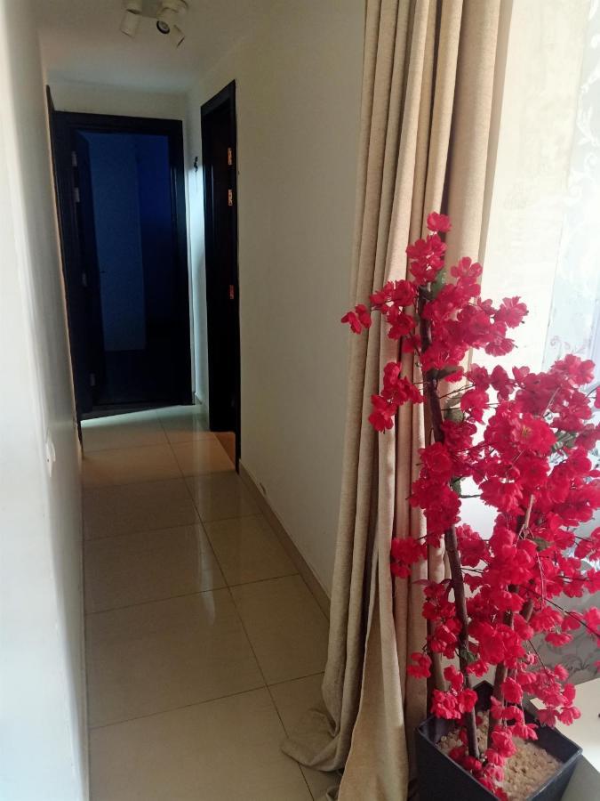 Fully Furnished Apartment At Ocean Blue Compound Каир Экстерьер фото
